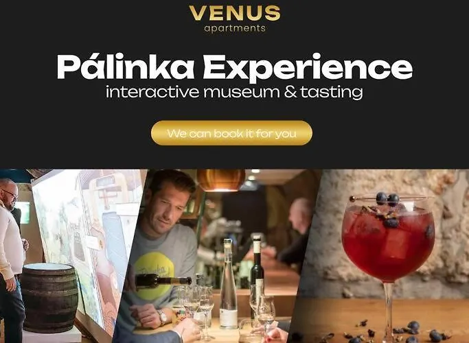 Venus - Szimpla Kert Ii 公寓